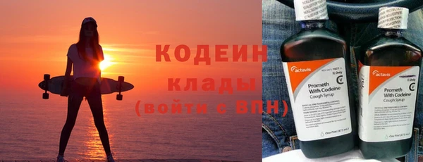 индика Баксан