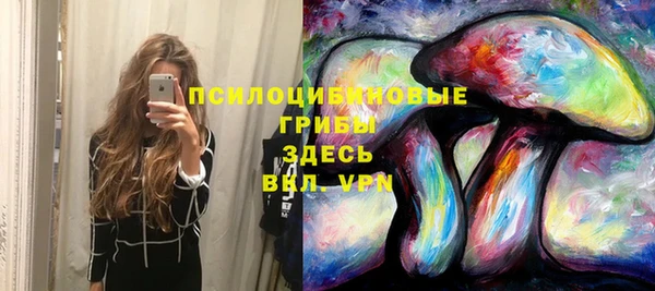 индика Баксан