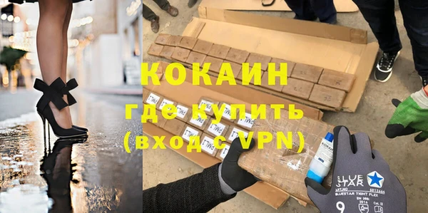 индика Баксан