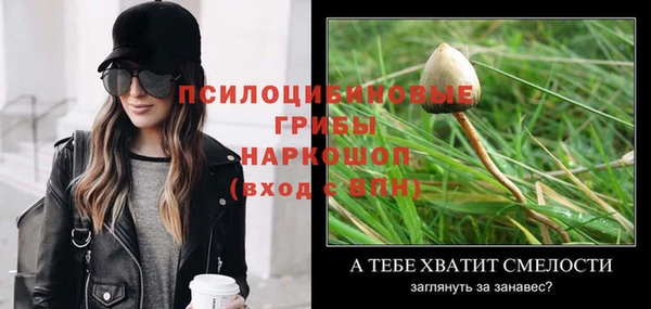 индика Баксан