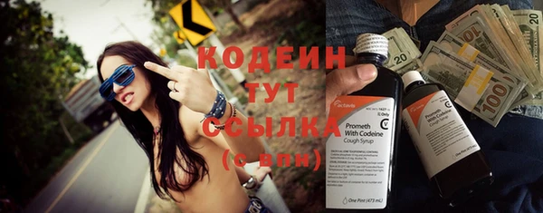 индика Баксан